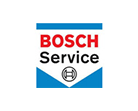 Bosch-1